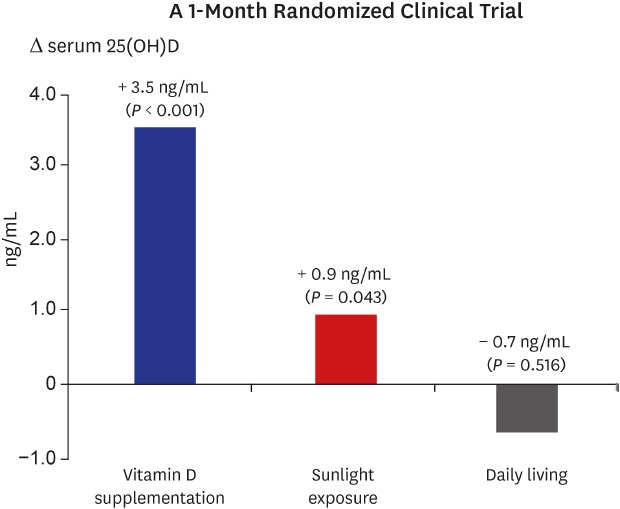 Functie vitamine D